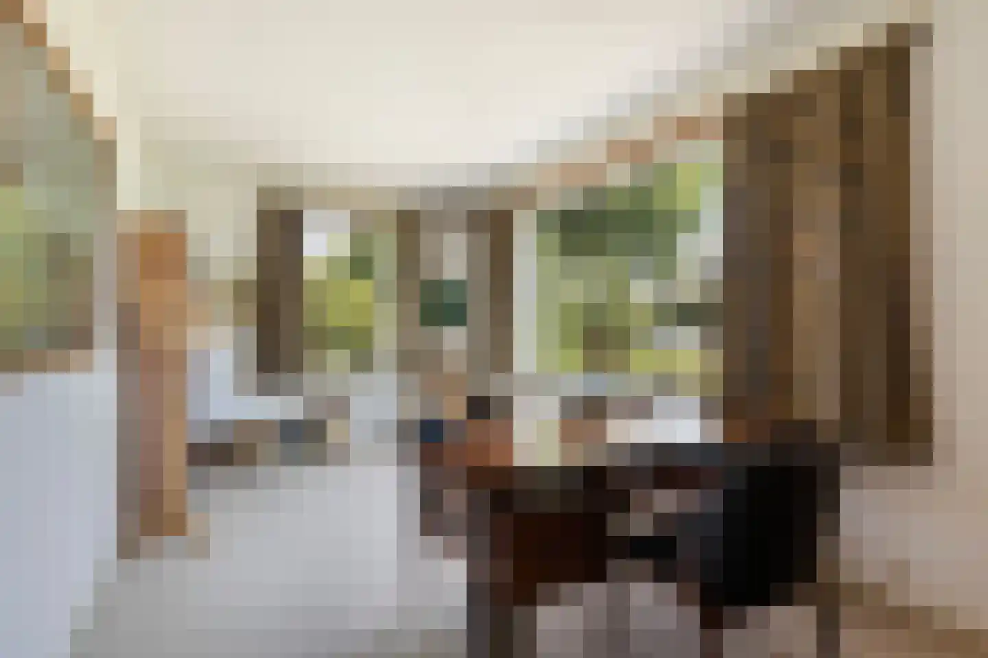 Meresteijn 7 Maasland thumbnail 35