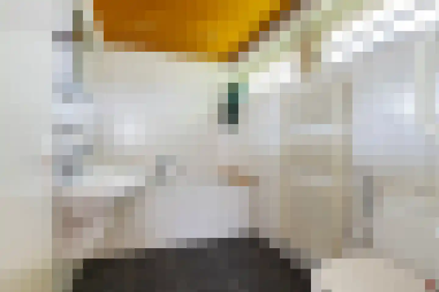 Meresteijn 7 Maasland thumbnail 40