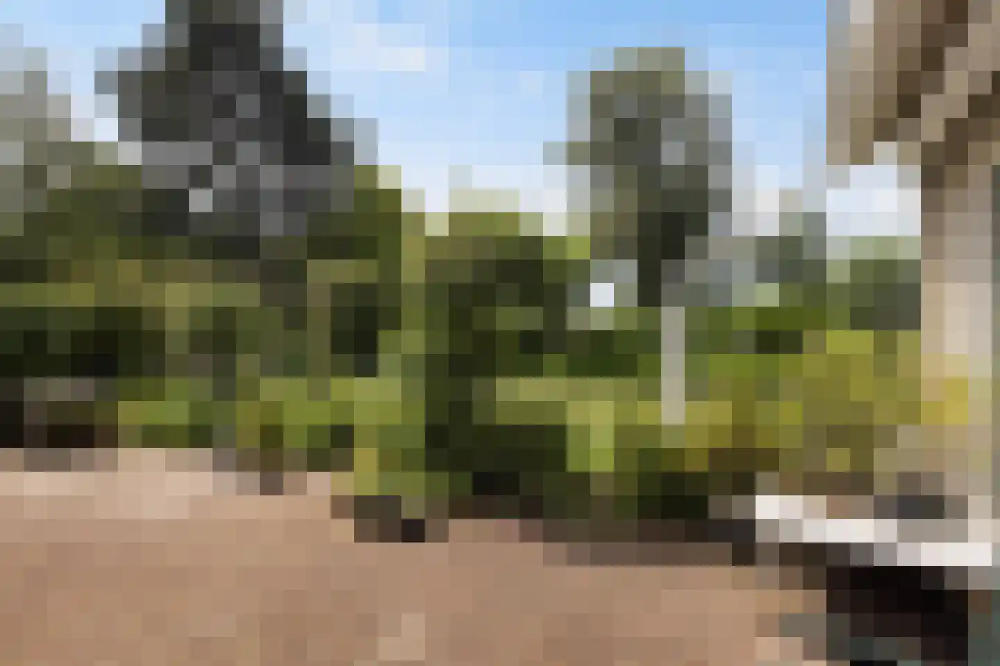 Meresteijn 7 Maasland thumbnail 44