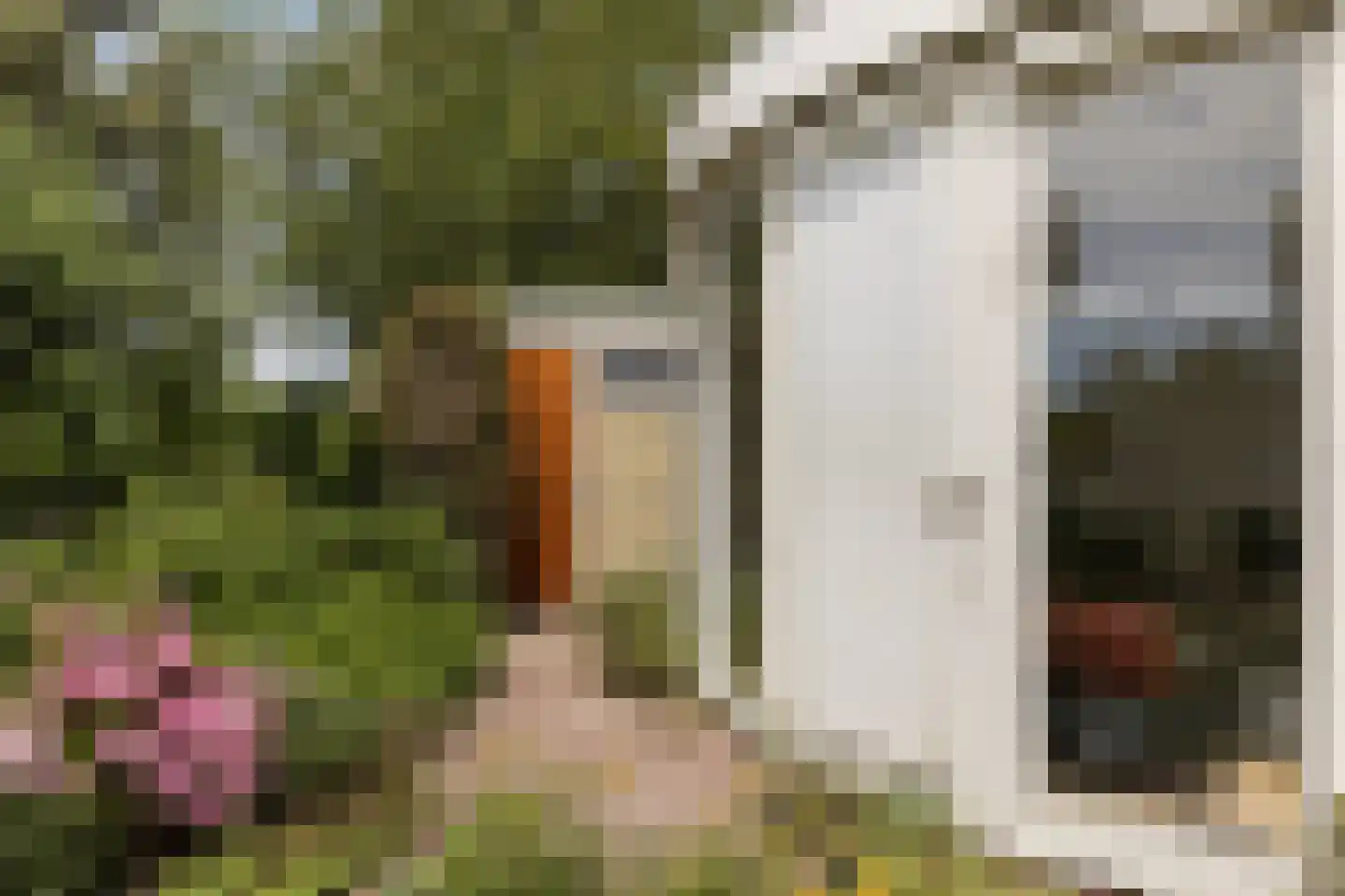 Meresteijn 7 Maasland thumbnail 45