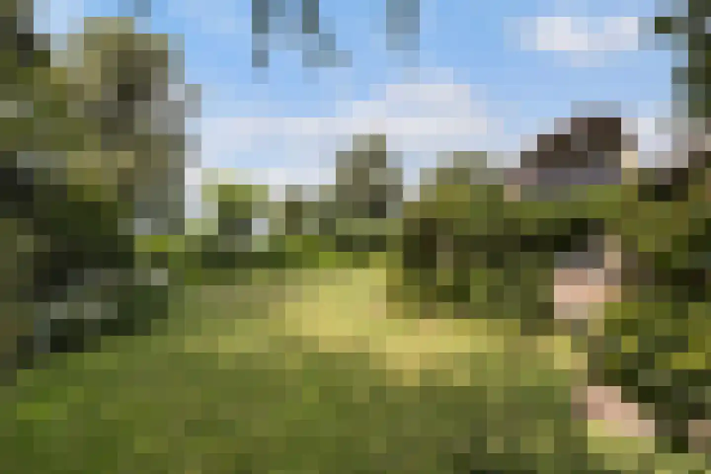 Meresteijn 7 Maasland thumbnail 46