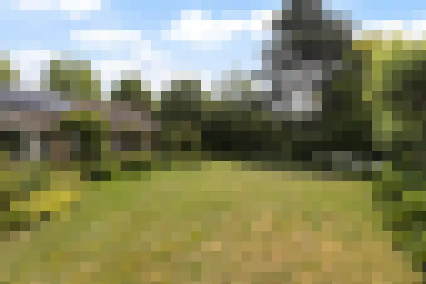 Meresteijn 7 Maasland thumbnail 48