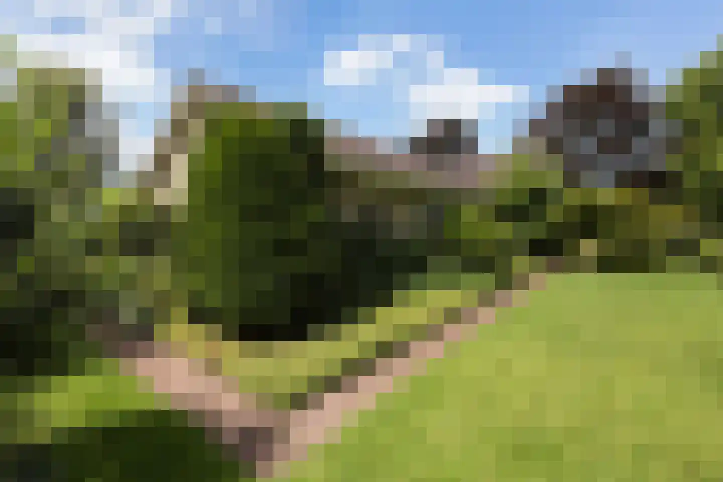Meresteijn 7 Maasland thumbnail 50