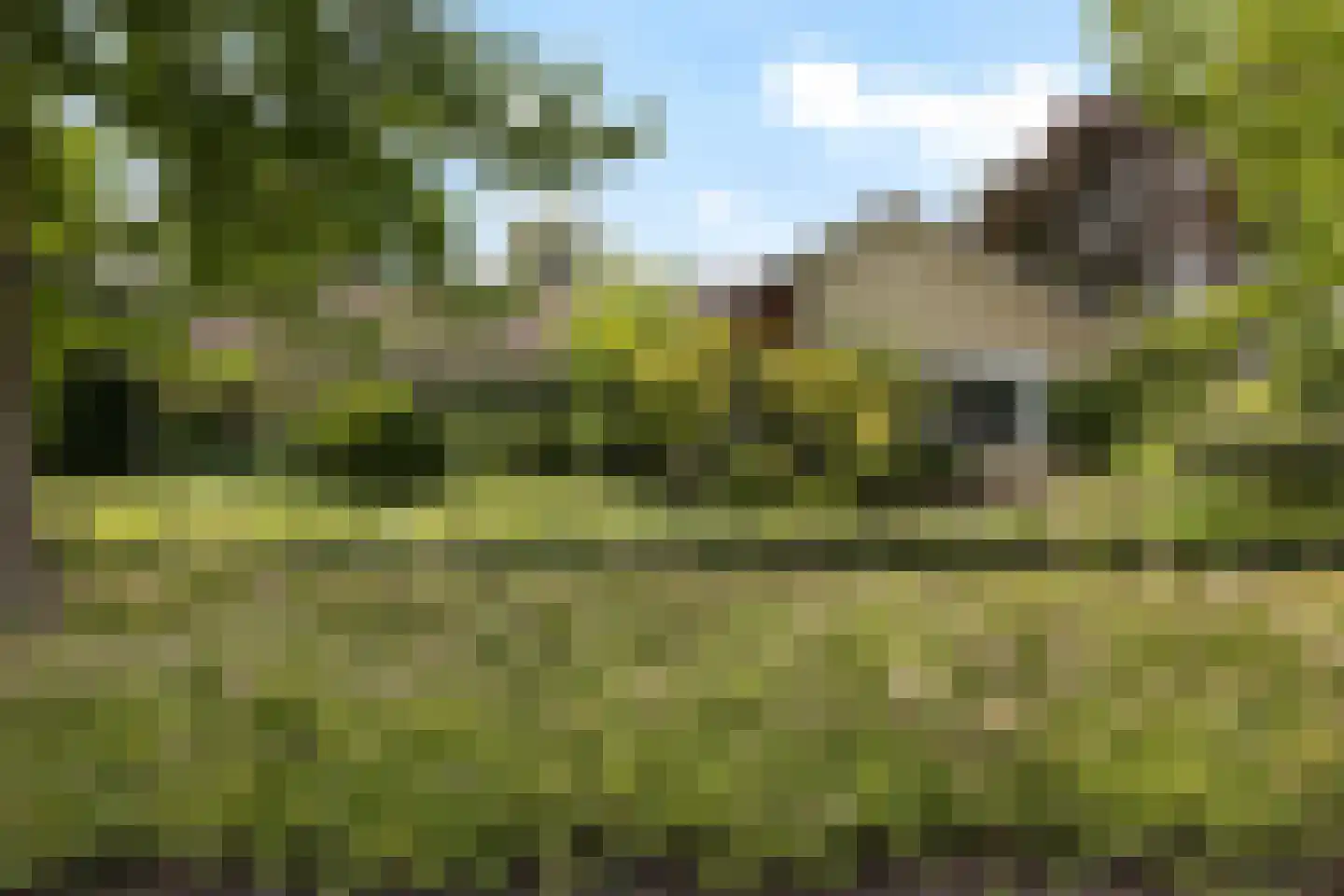 Meresteijn 7 Maasland thumbnail 51