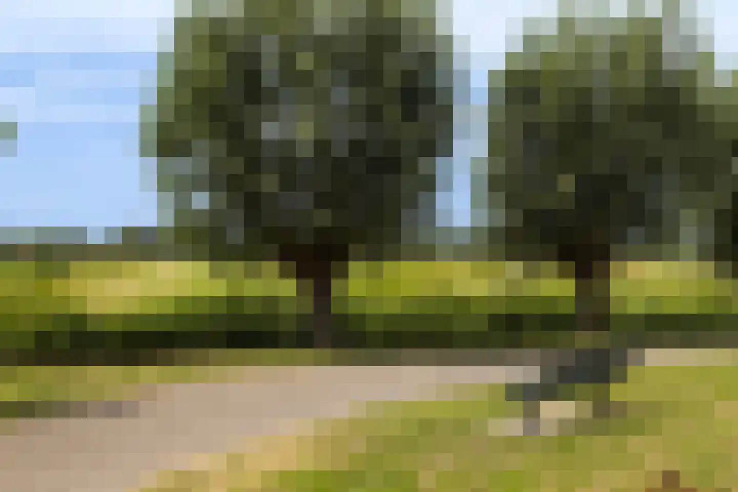 Meresteijn 7 Maasland thumbnail 53
