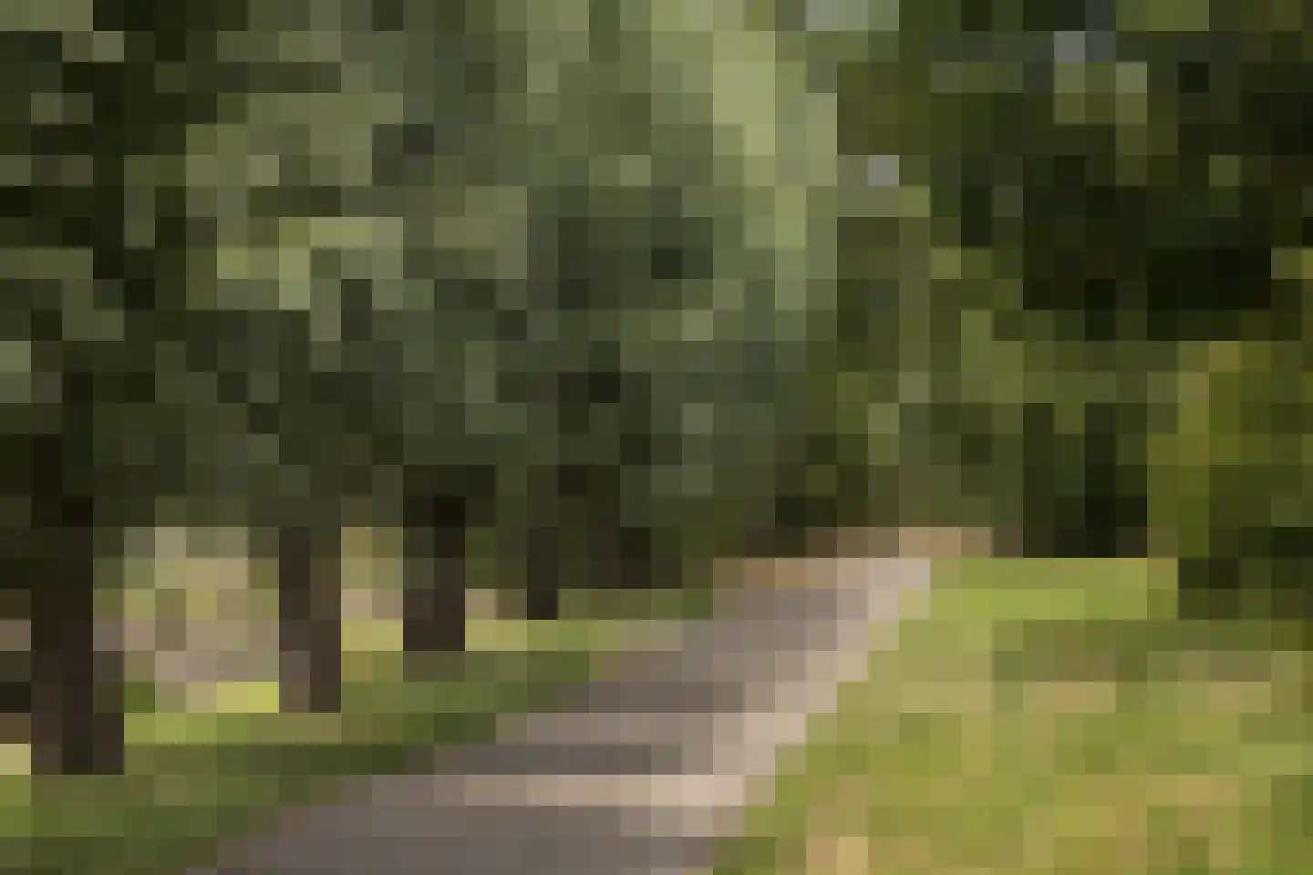 Meresteijn 7 Maasland thumbnail 54