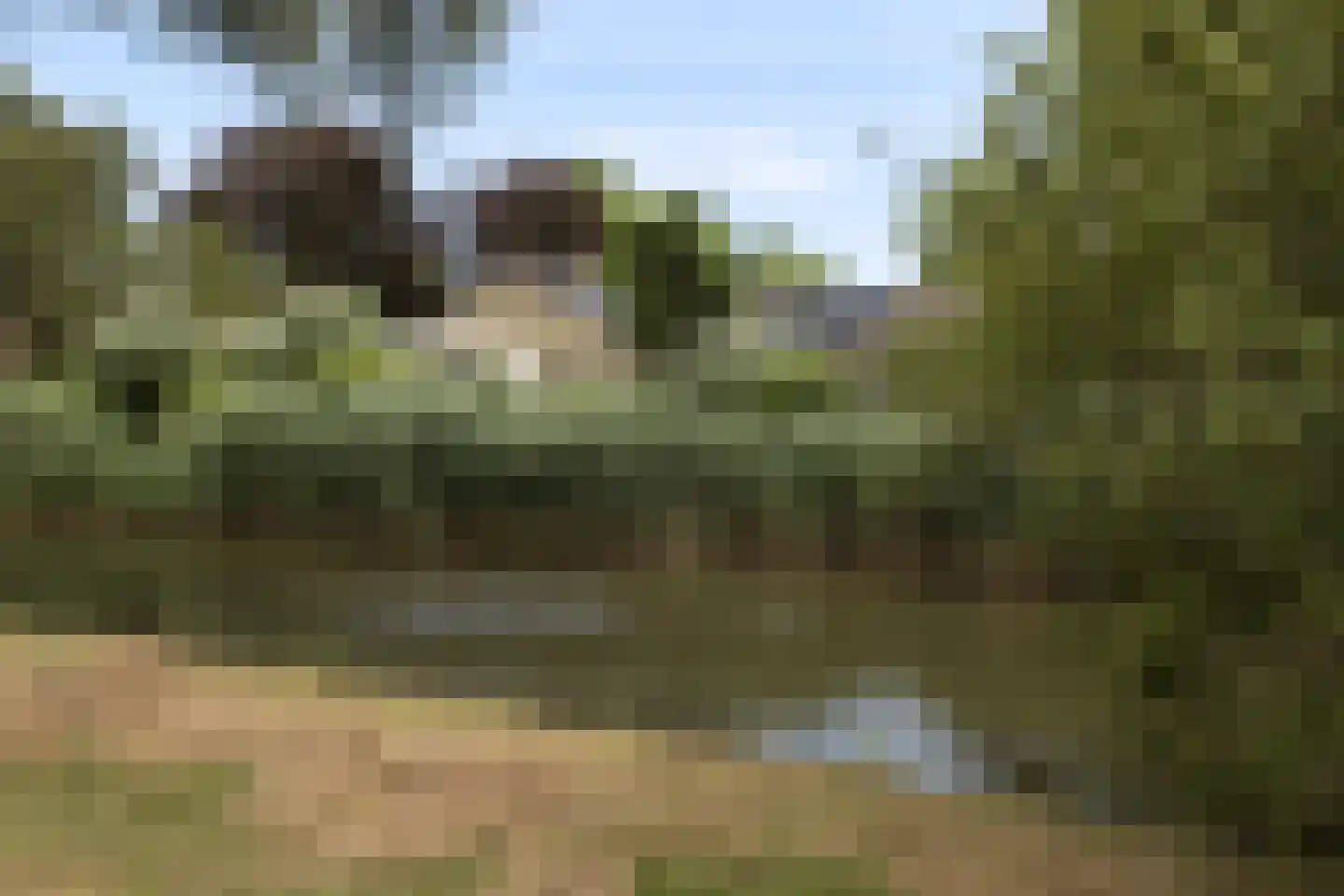 Meresteijn 7 Maasland thumbnail 56