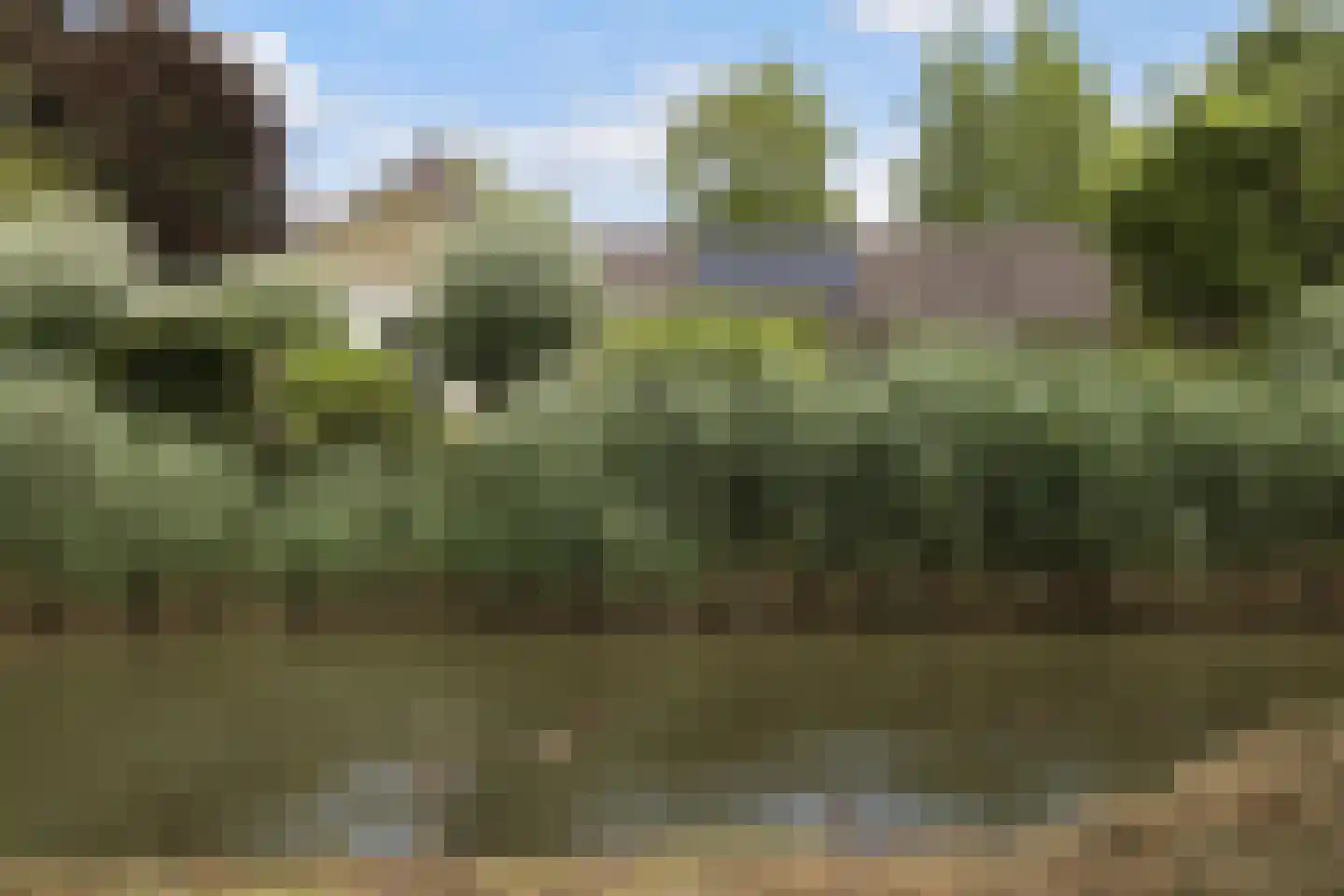 Meresteijn 7 Maasland thumbnail 57