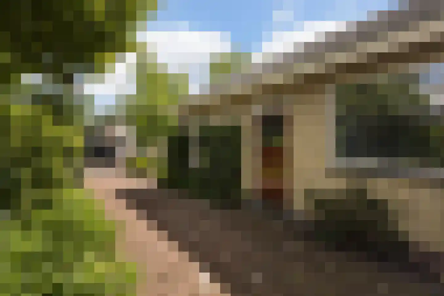 Meresteijn 7 Maasland thumbnail 6