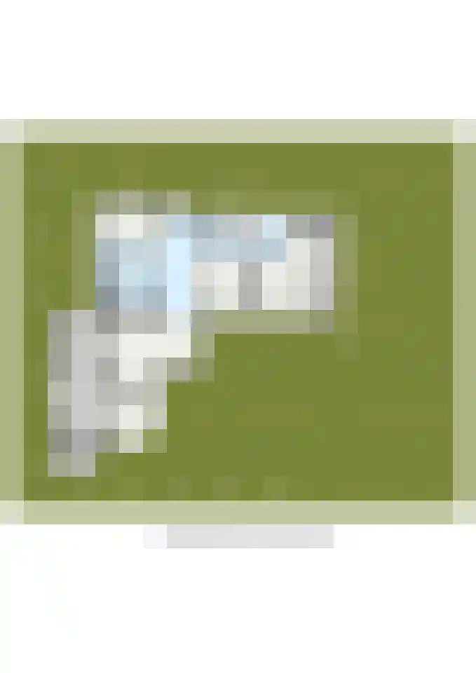 Meresteijn 7 Maasland thumbnail 60