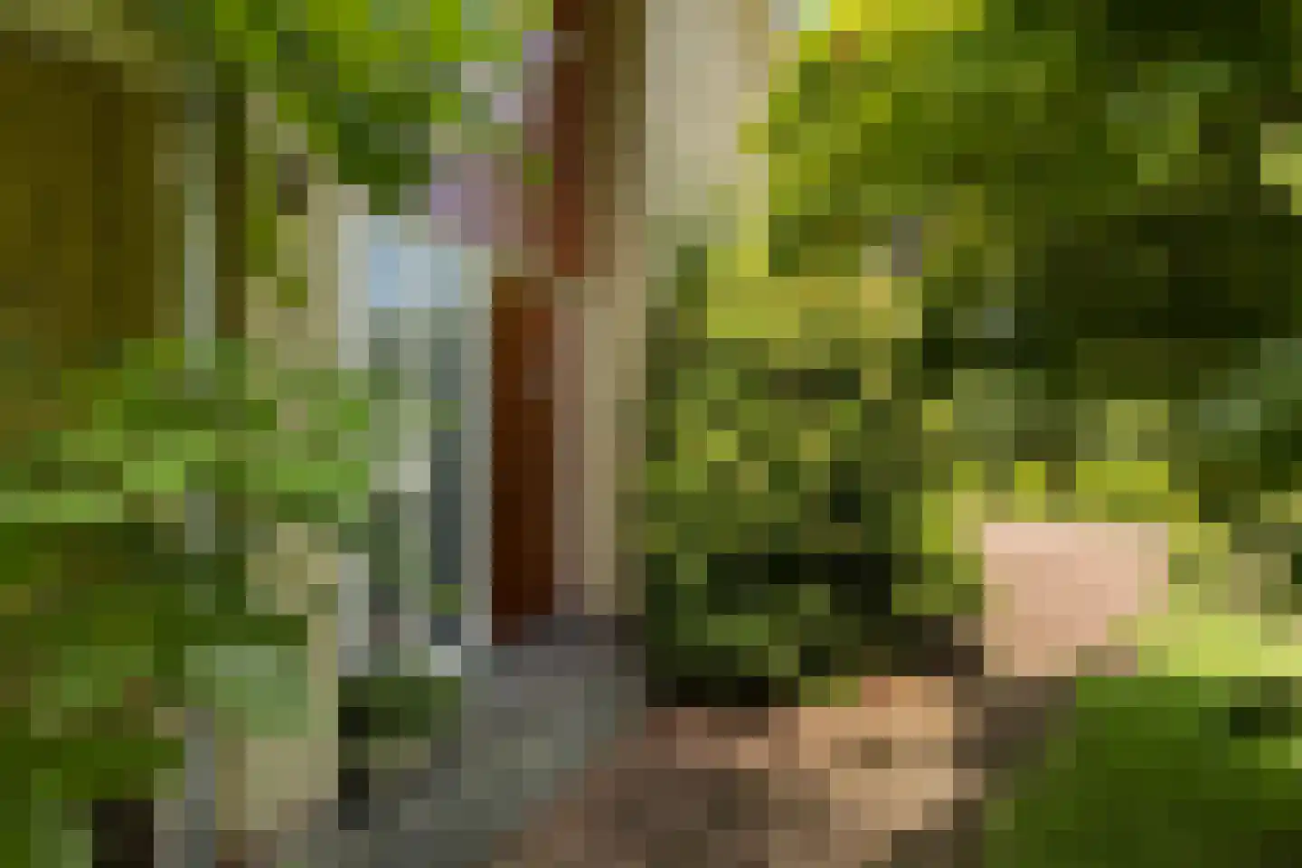 Meresteijn 7 Maasland thumbnail 7