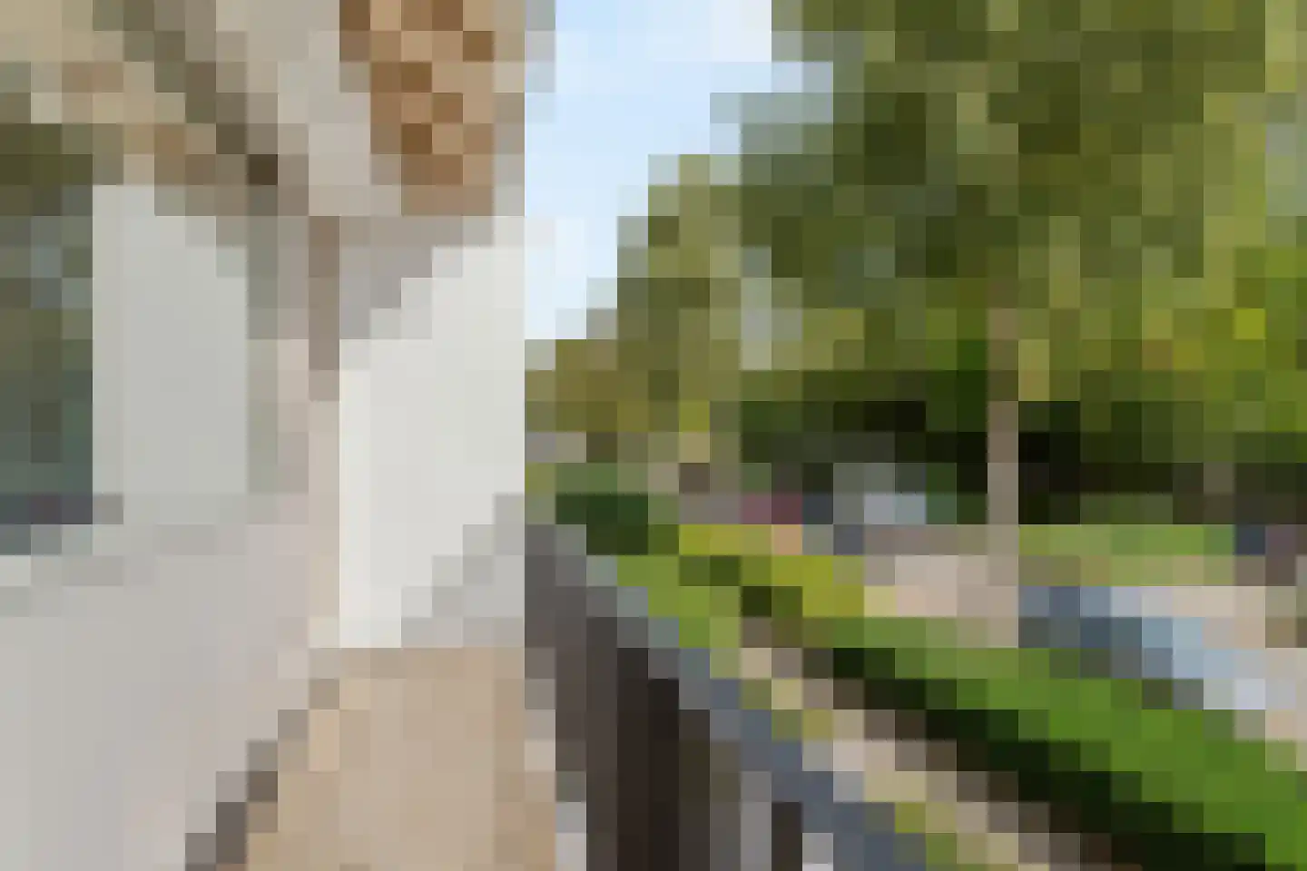Mereveldlaan 31 De Meern thumbnail 22