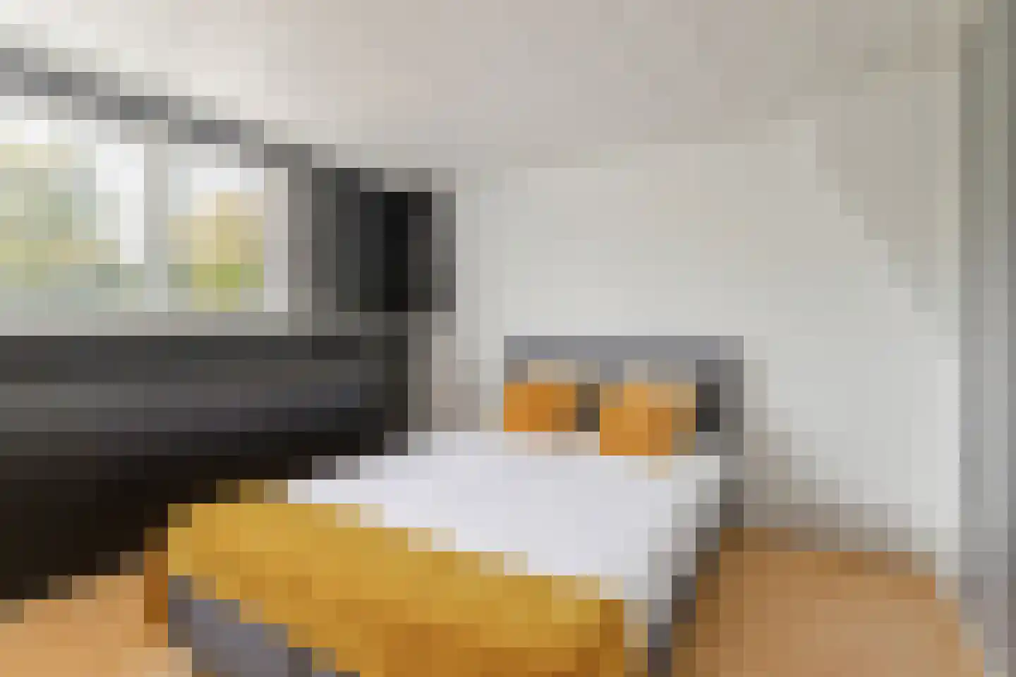 Mereveldlaan 31 De Meern thumbnail 28
