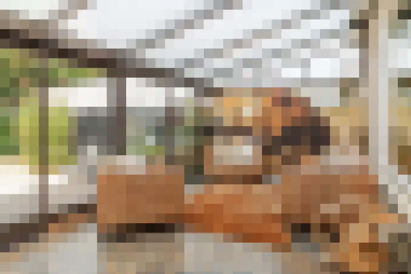 Mereveldlaan 31 De Meern thumbnail 29