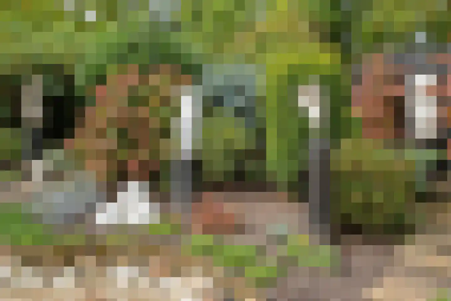 Mereveldlaan 31 De Meern thumbnail 34