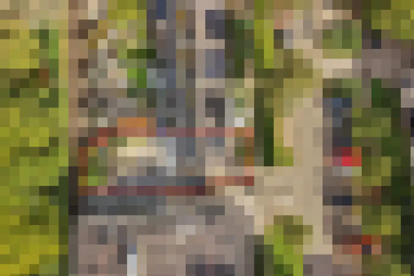 Mereveldlaan 31 De Meern thumbnail 40