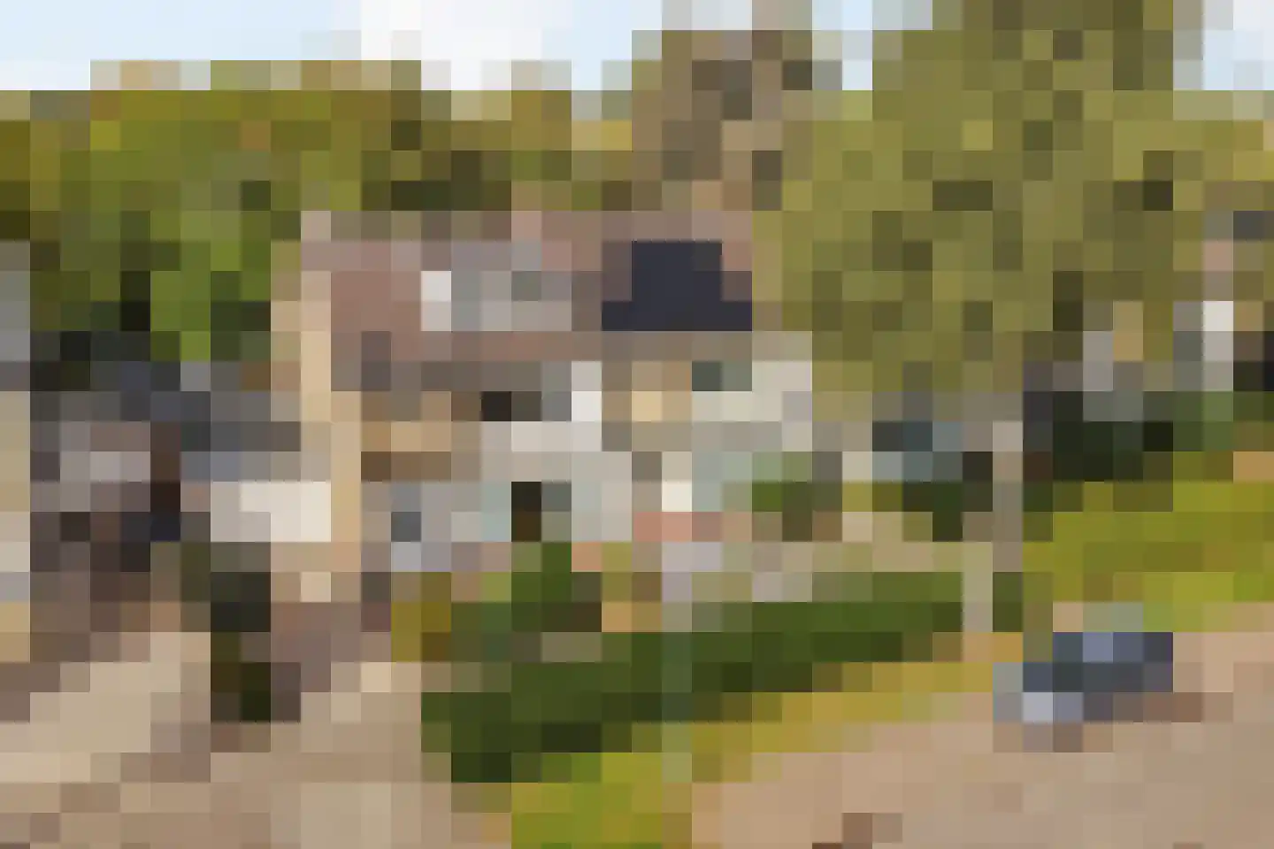 Mereveldlaan 31 De Meern thumbnail 41