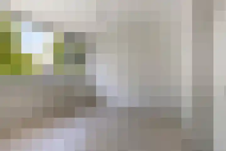 Mereveldlaan 54 De Meern thumbnail 13