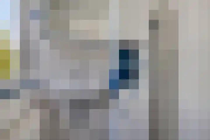 Mereveldlaan 54 De Meern thumbnail 15