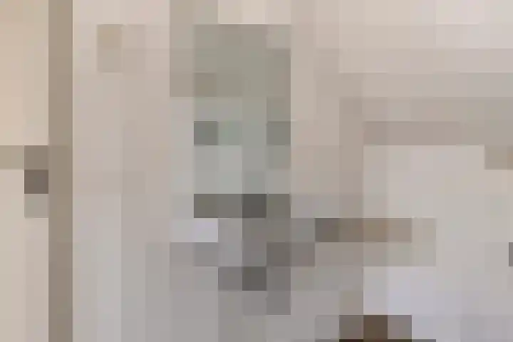 Mereveldlaan 54 De Meern thumbnail 19