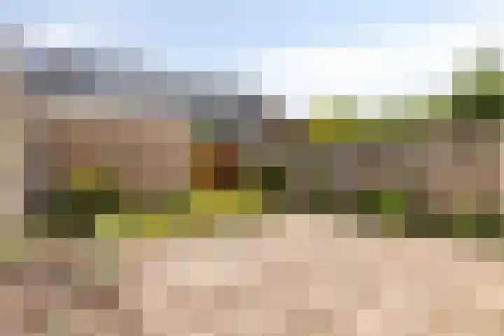 Mereveldlaan 54 De Meern foto 2