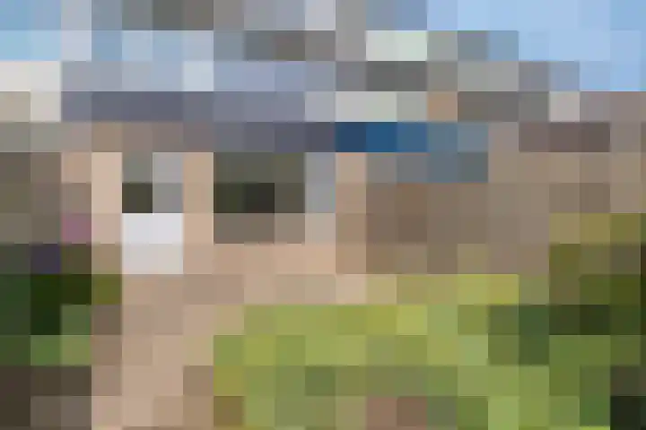 Mereveldlaan 54 De Meern thumbnail 21