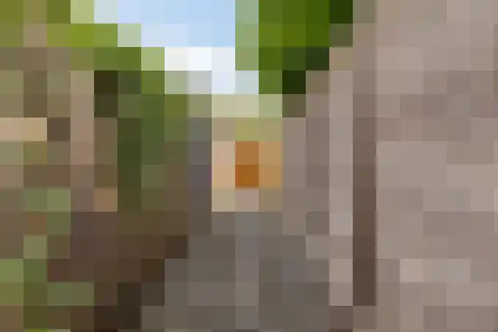 Mereveldlaan 54 De Meern thumbnail 23