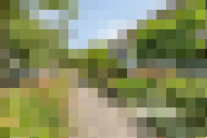 Mereveldlaan 54 De Meern thumbnail 26
