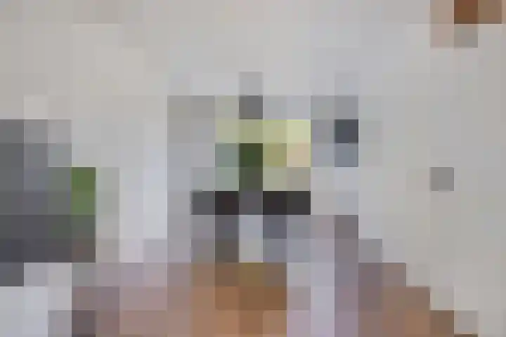 Mergelakker 20 Spaubeek thumbnail 14