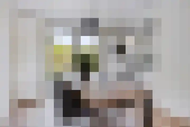 Mergelakker 20 Spaubeek thumbnail 15