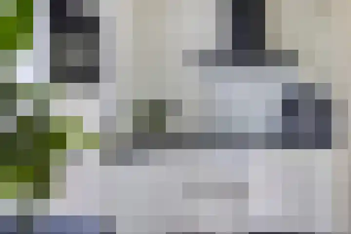 Mergelakker 20 Spaubeek thumbnail 18