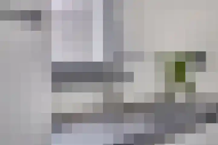 Mergelakker 20 Spaubeek thumbnail 19