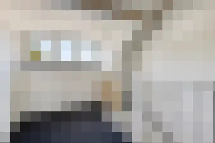 Mergelakker 20 Spaubeek thumbnail 32