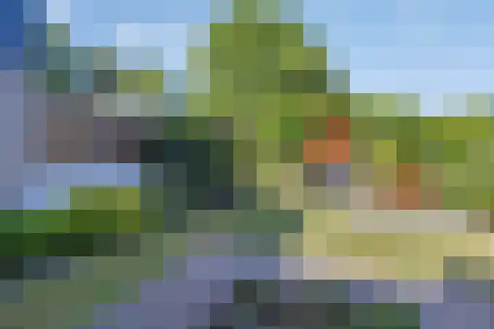 Mergelakker 20 Spaubeek thumbnail 37
