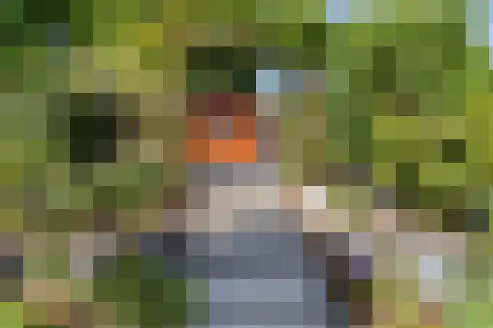 Mergelakker 20 Spaubeek thumbnail 40