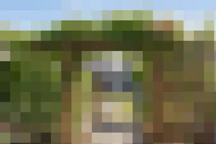 Mergelakker 20 Spaubeek thumbnail 41