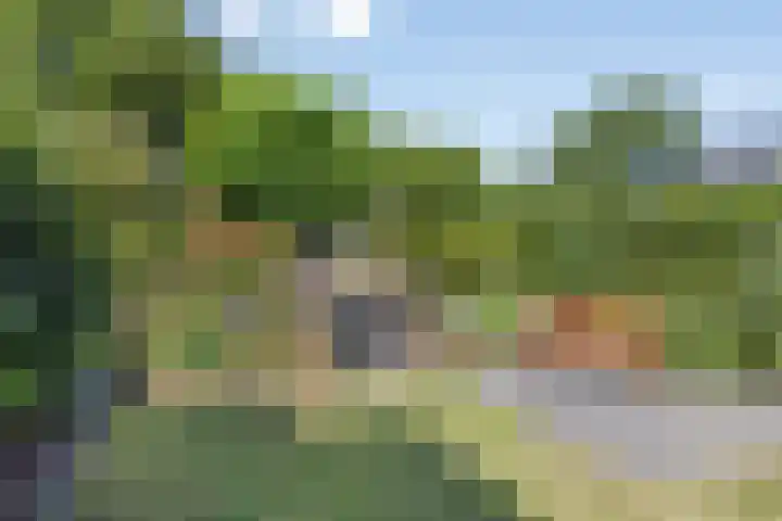 Mergelakker 20 Spaubeek thumbnail 6