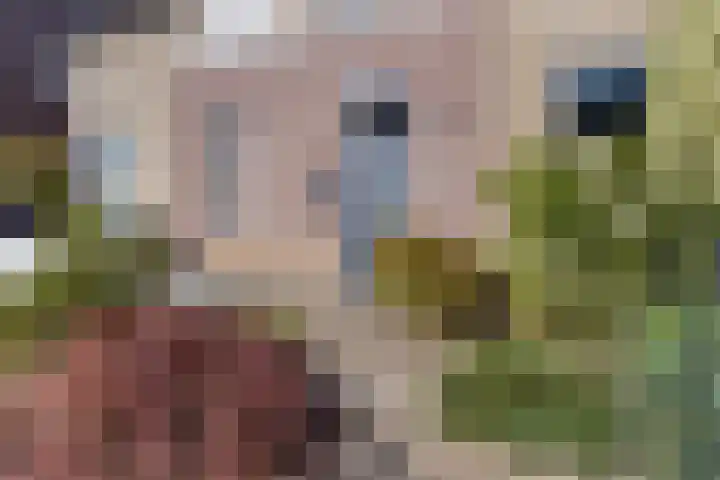 Mergelakker 20 Spaubeek thumbnail 8