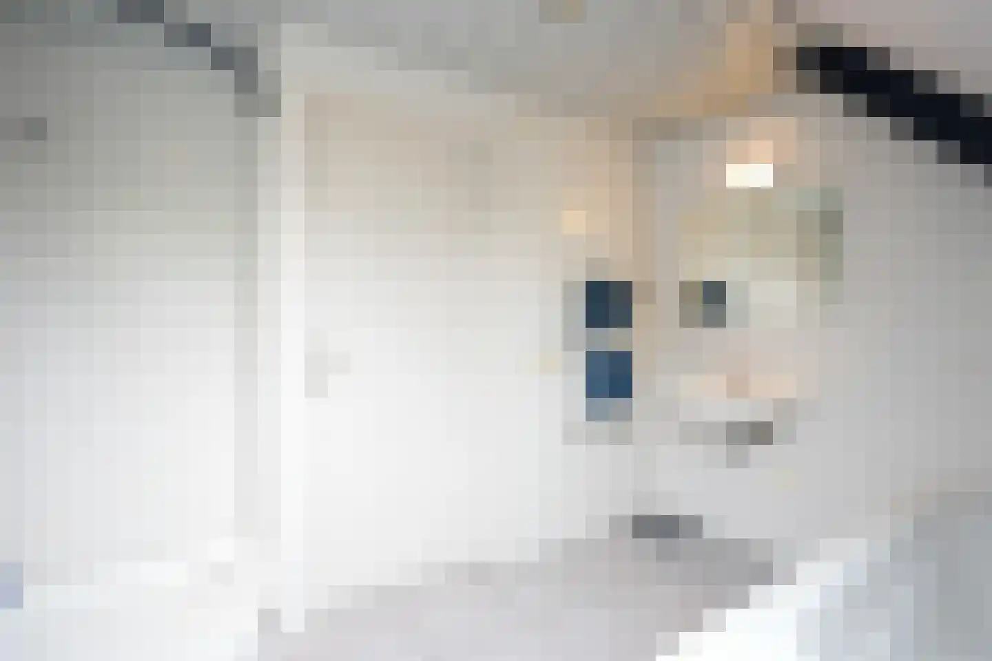 Mergelakker 28 Spaubeek thumbnail 31