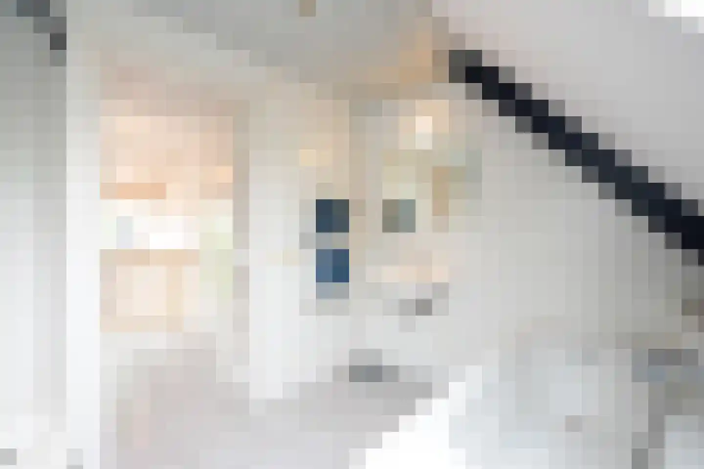 Mergelakker 28 Spaubeek thumbnail 33