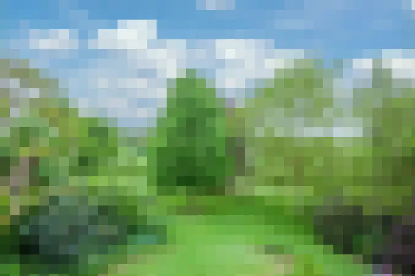 Mergelakker 28 Spaubeek thumbnail 38