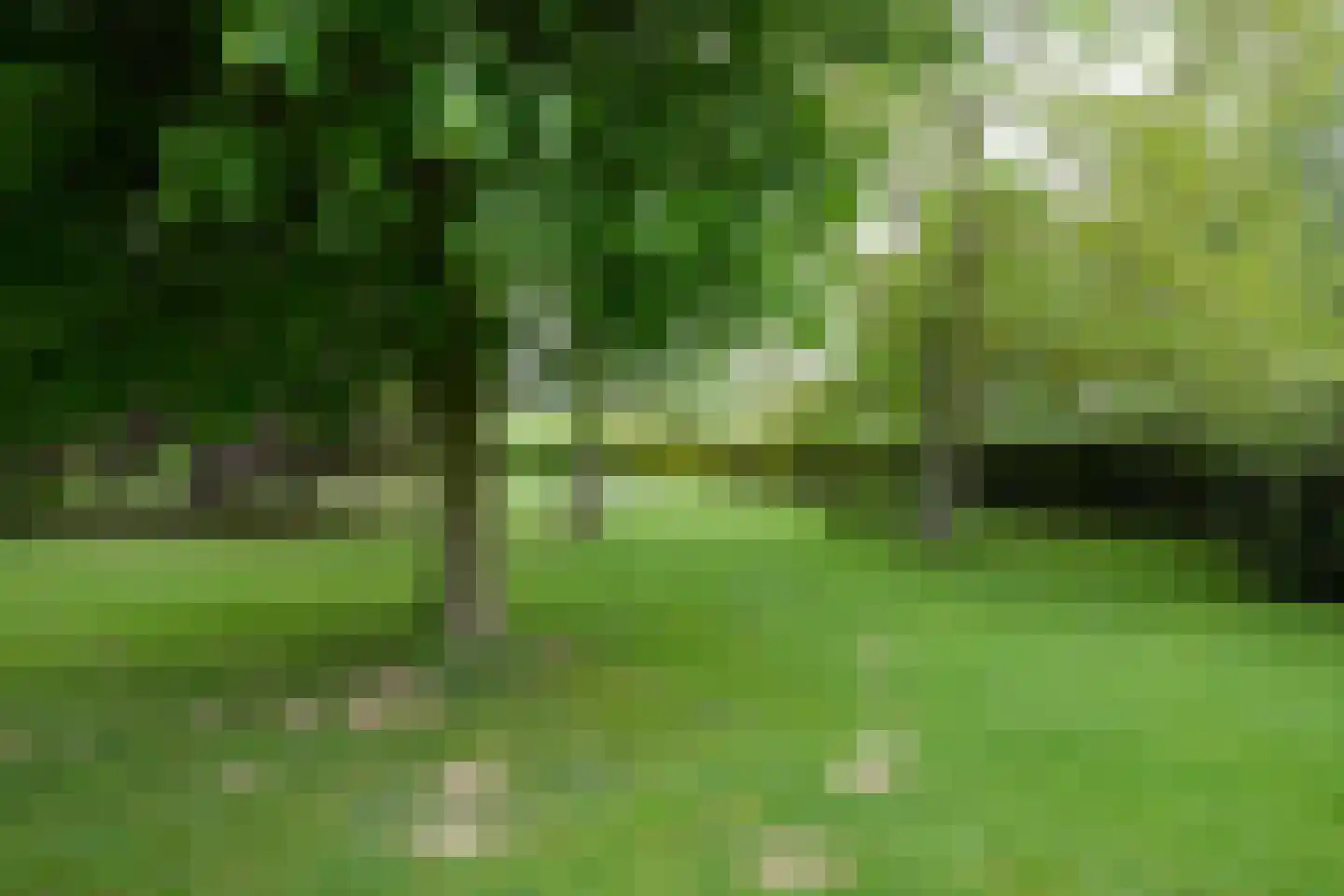 Mergelakker 28 Spaubeek thumbnail 44