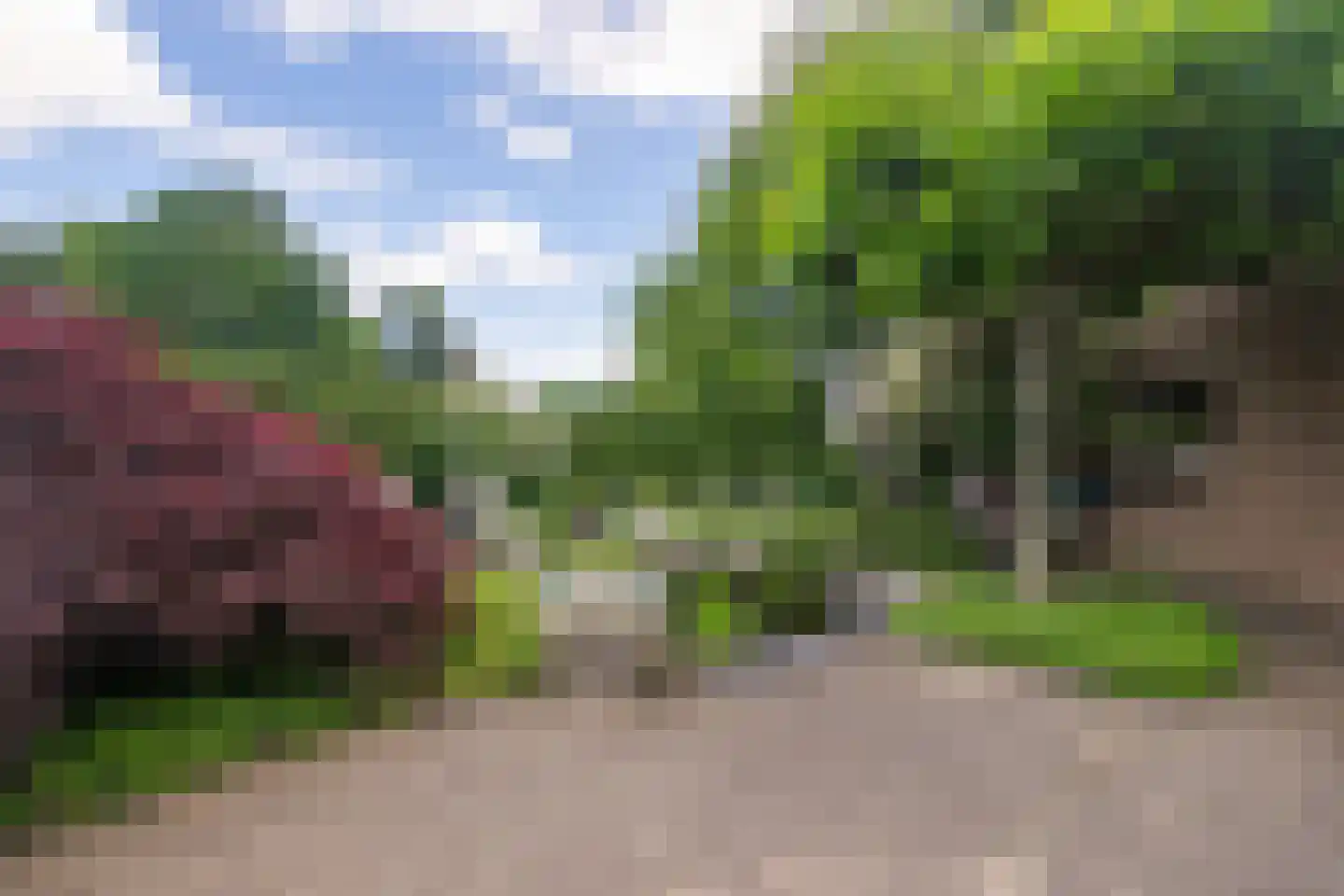 Mergelakker 40 Elsloo thumbnail 21