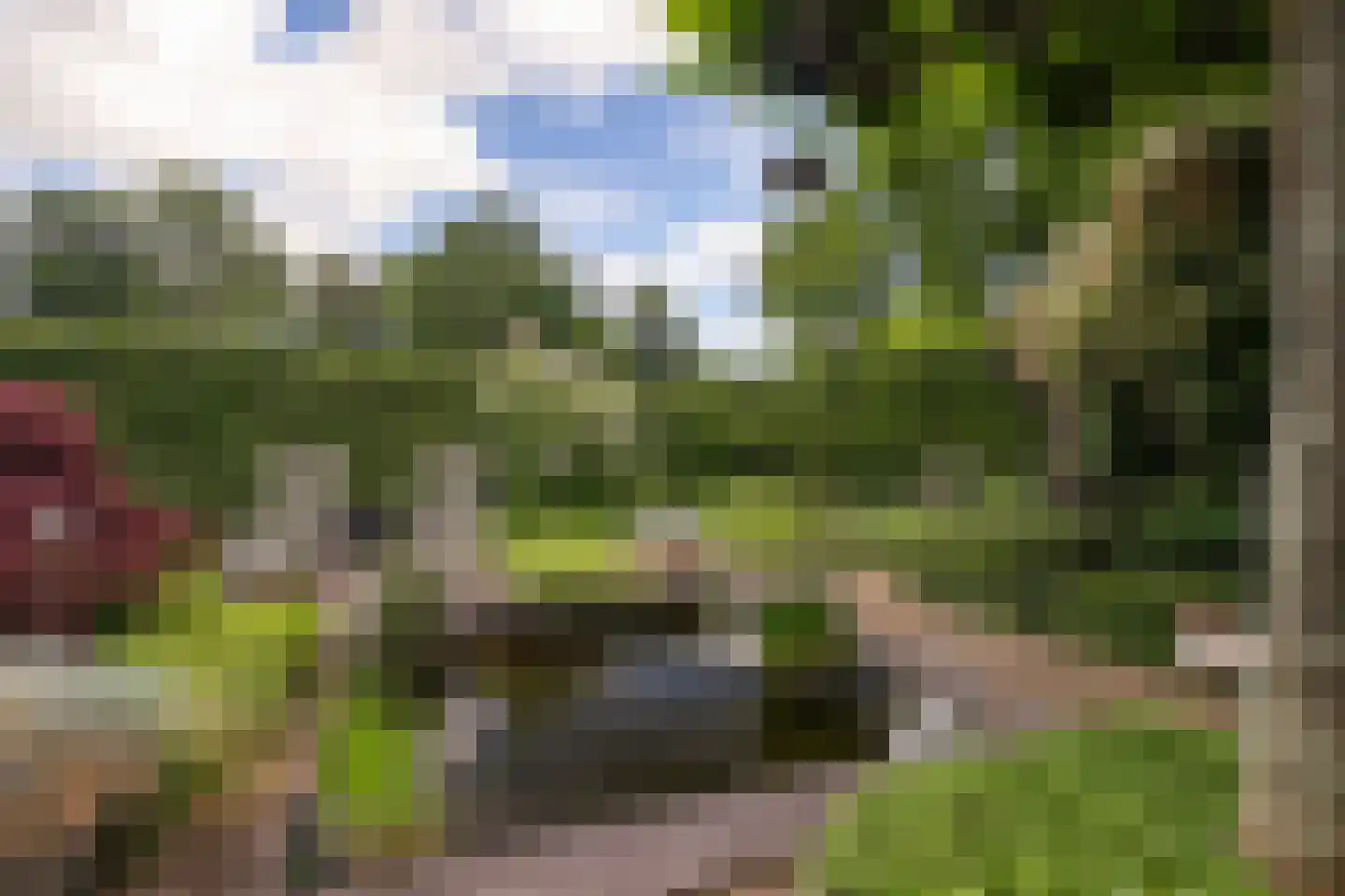 Mergelakker 40 Elsloo thumbnail 22