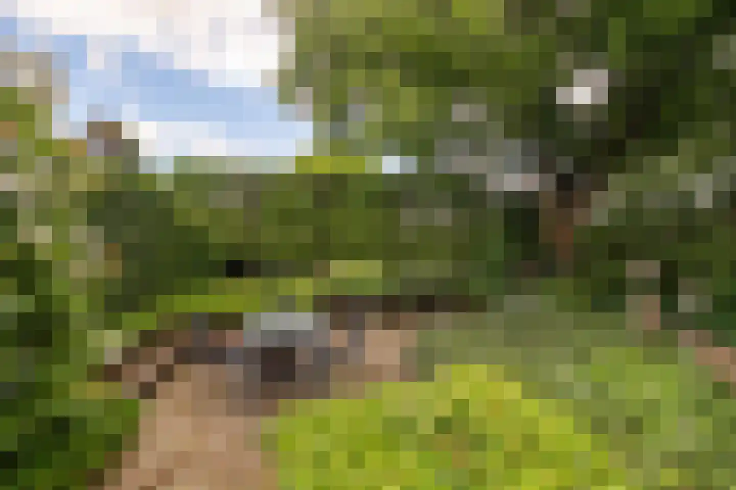 Mergelakker 40 Elsloo thumbnail 23