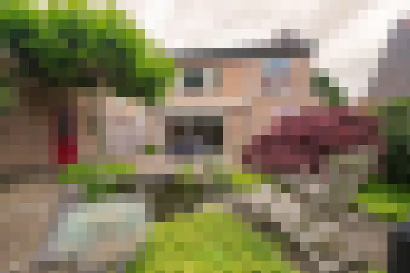 Mergelakker 40 Elsloo thumbnail 24