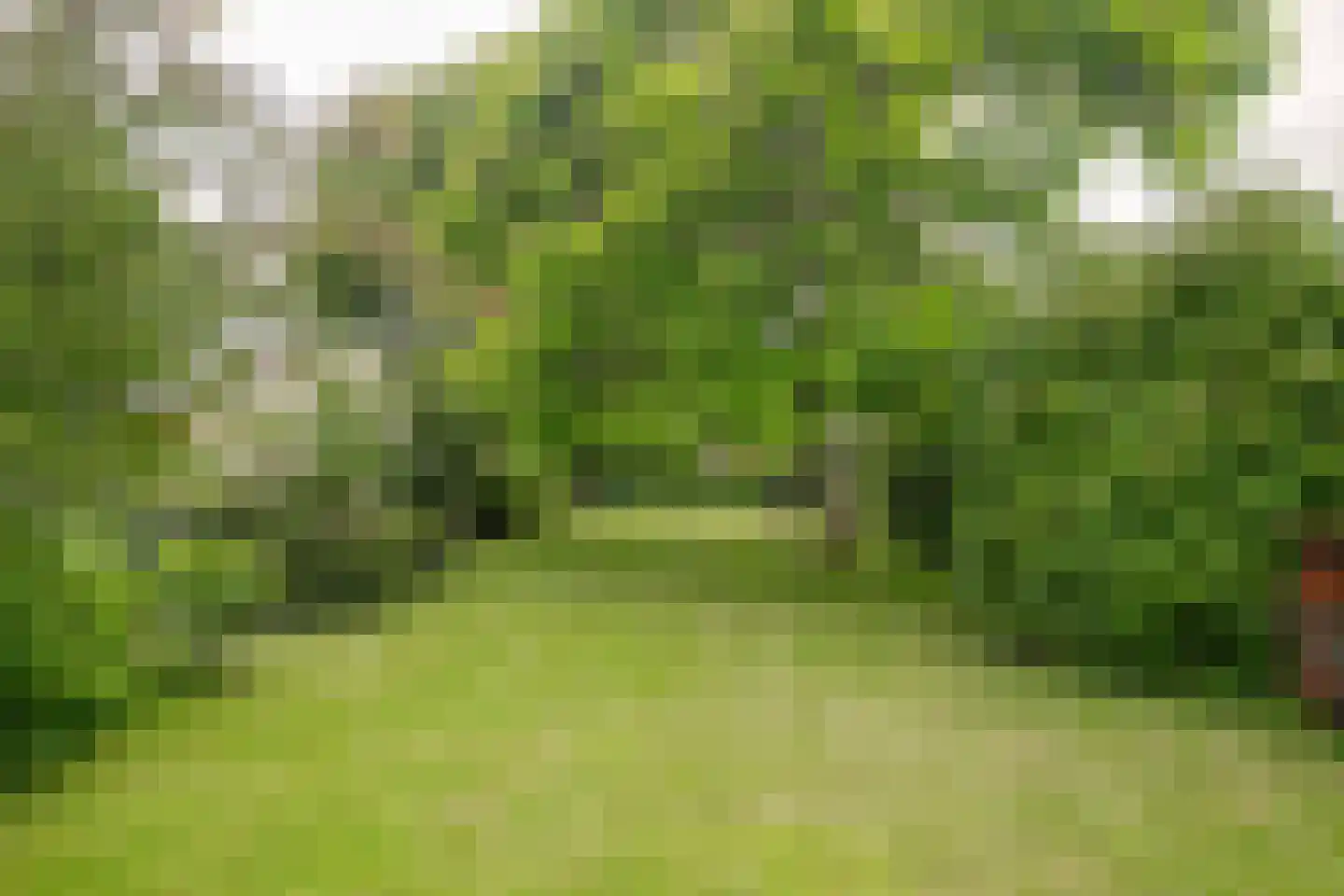 Mergelakker 40 Elsloo thumbnail 26