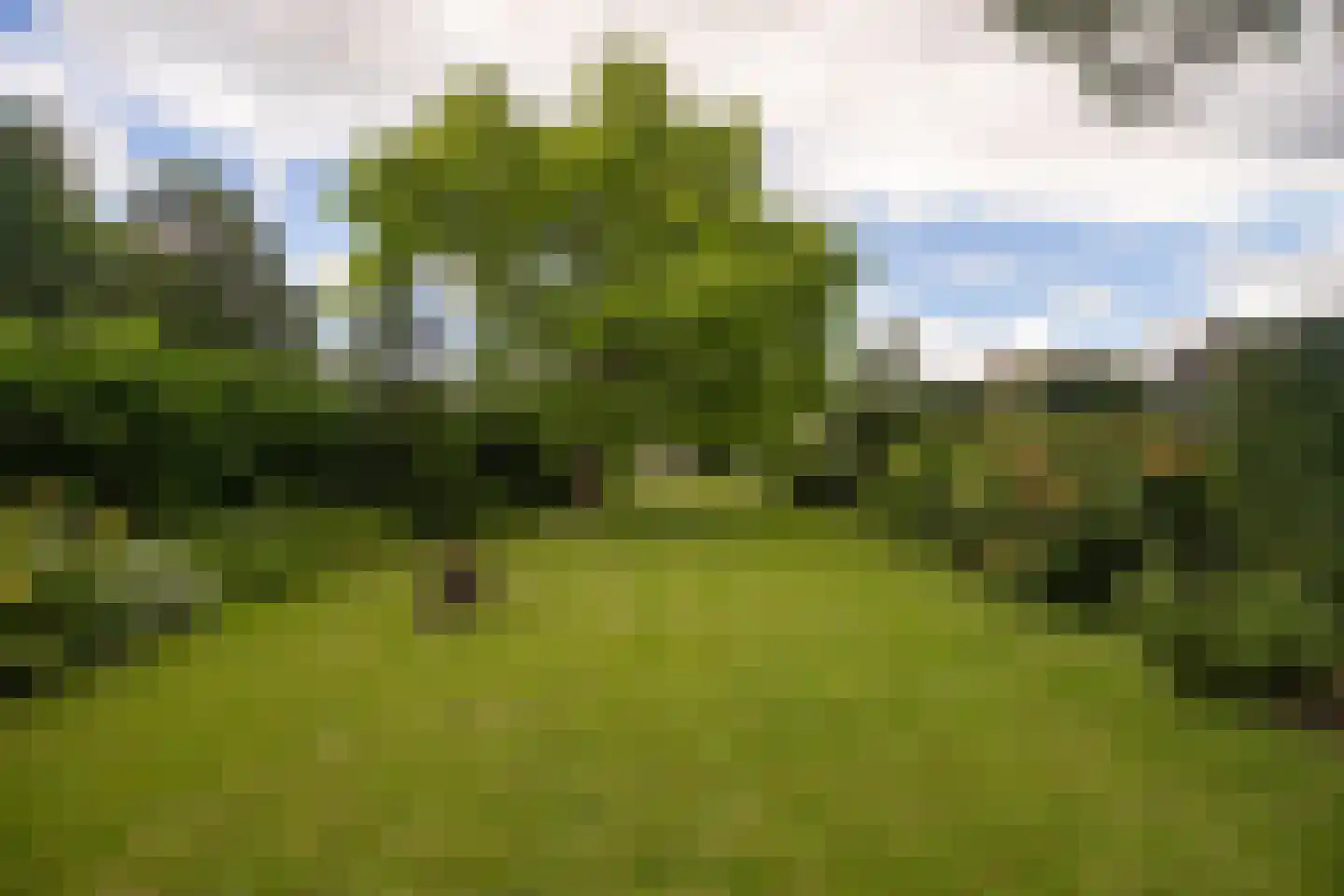 Mergelakker 40 Elsloo thumbnail 27