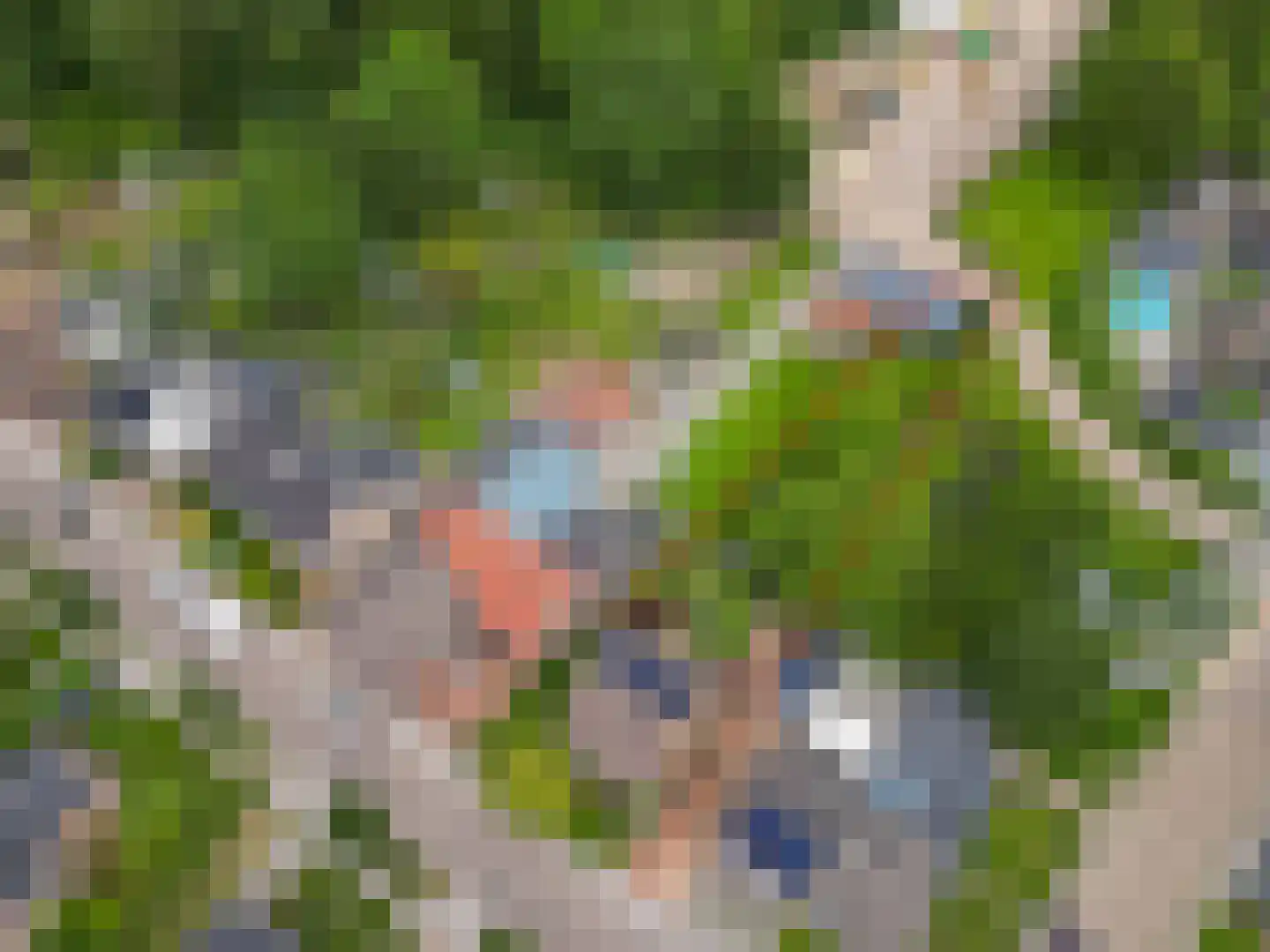 Mergelakker 40 Elsloo thumbnail 30