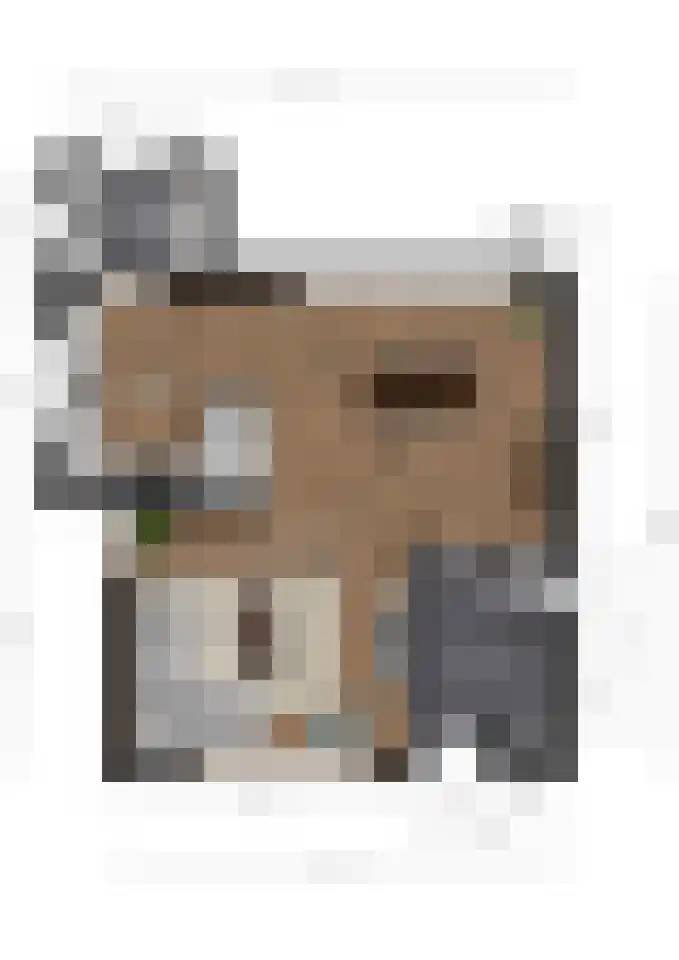 Mergelakker 40 Elsloo thumbnail 32
